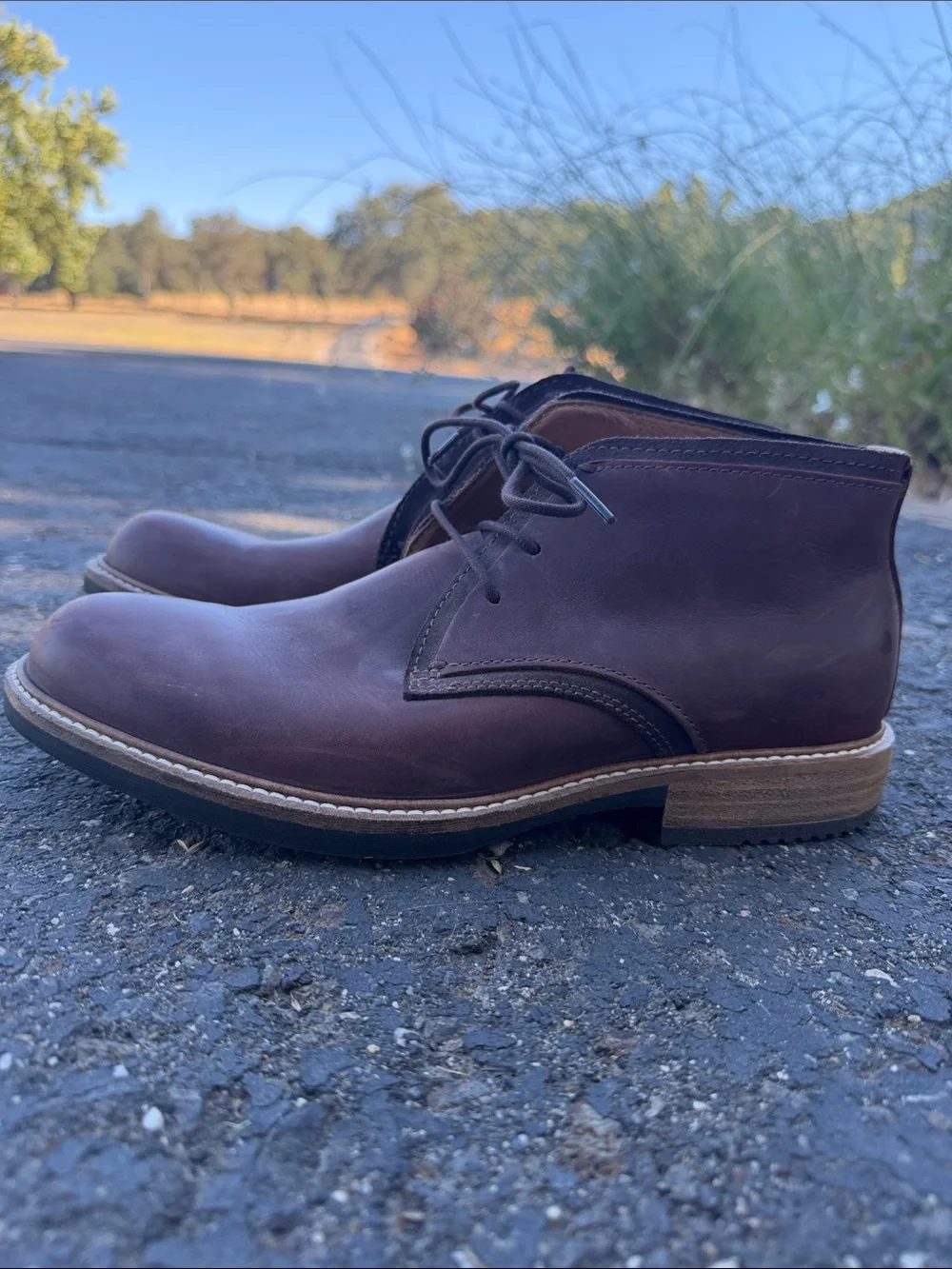 Ecco Brown Leather Chukka Boots —never worn